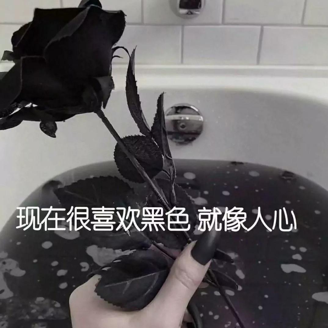 小yang