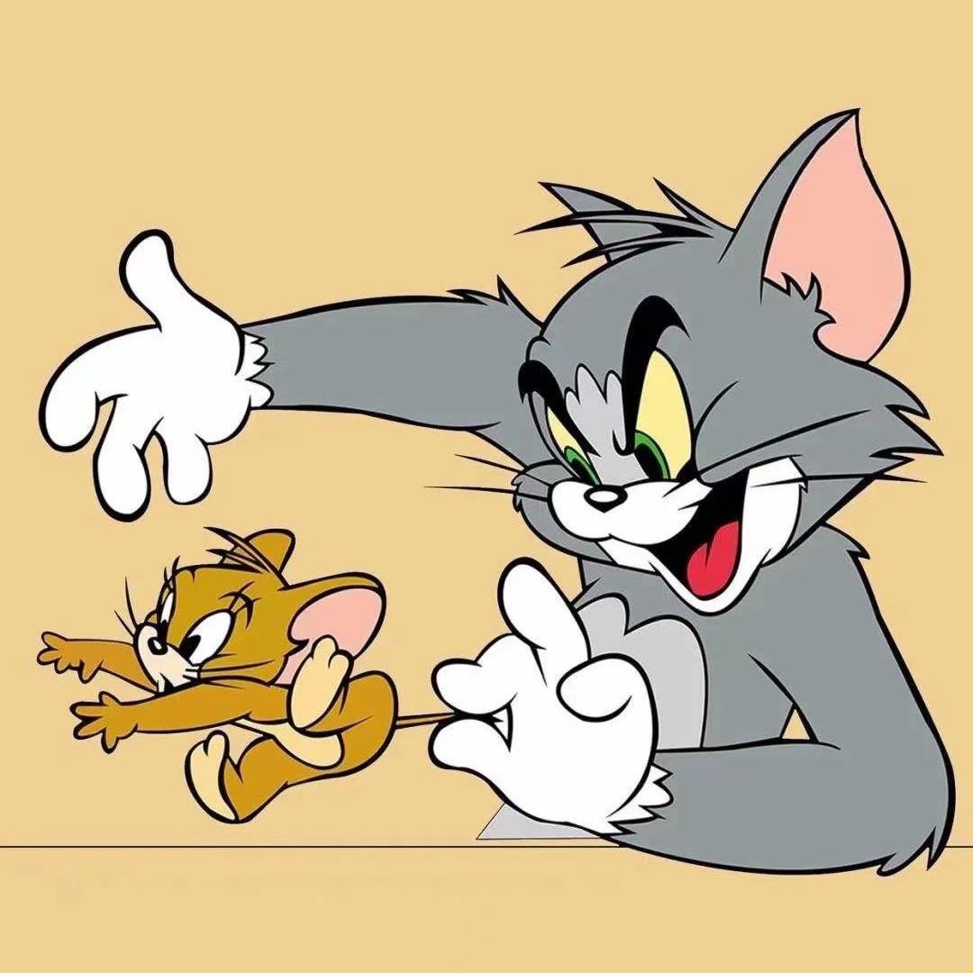 半夜喝水的加菲猫