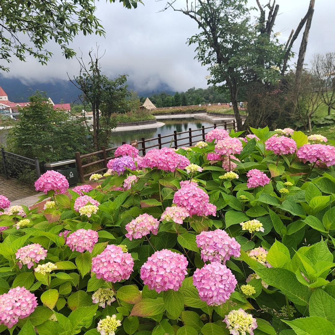 体检中心王大白