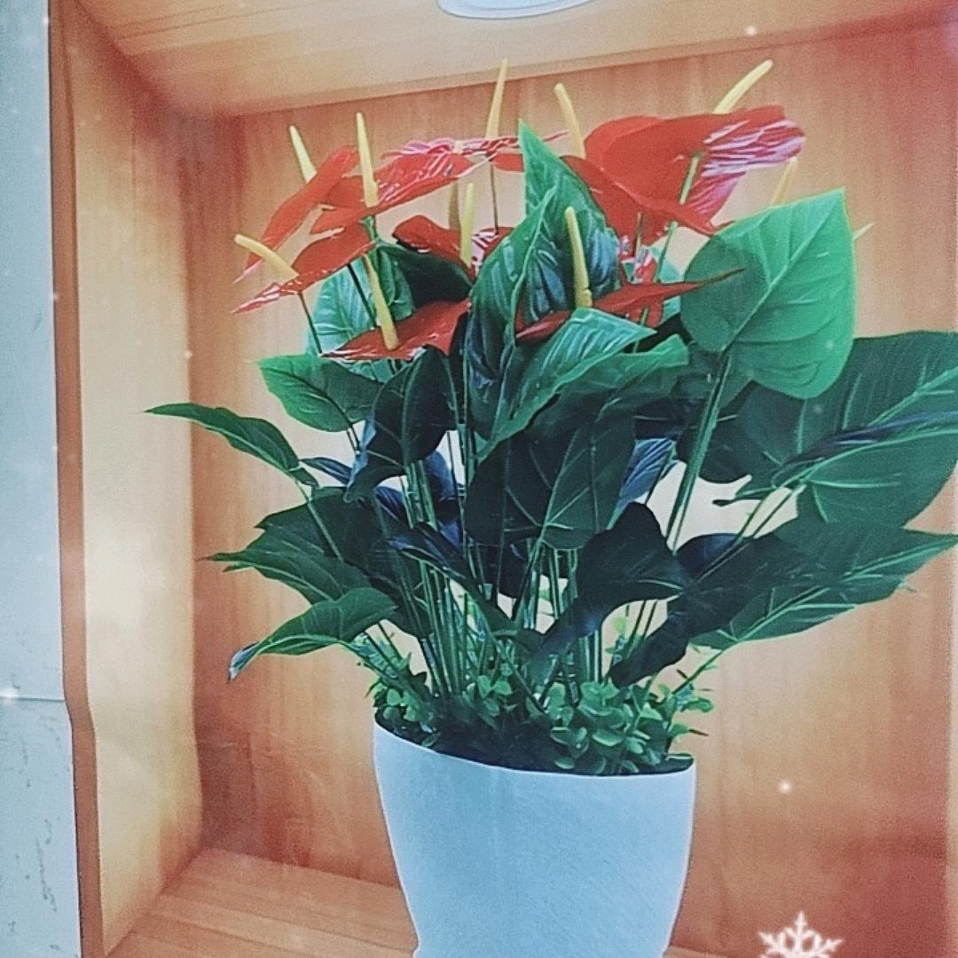 梦境