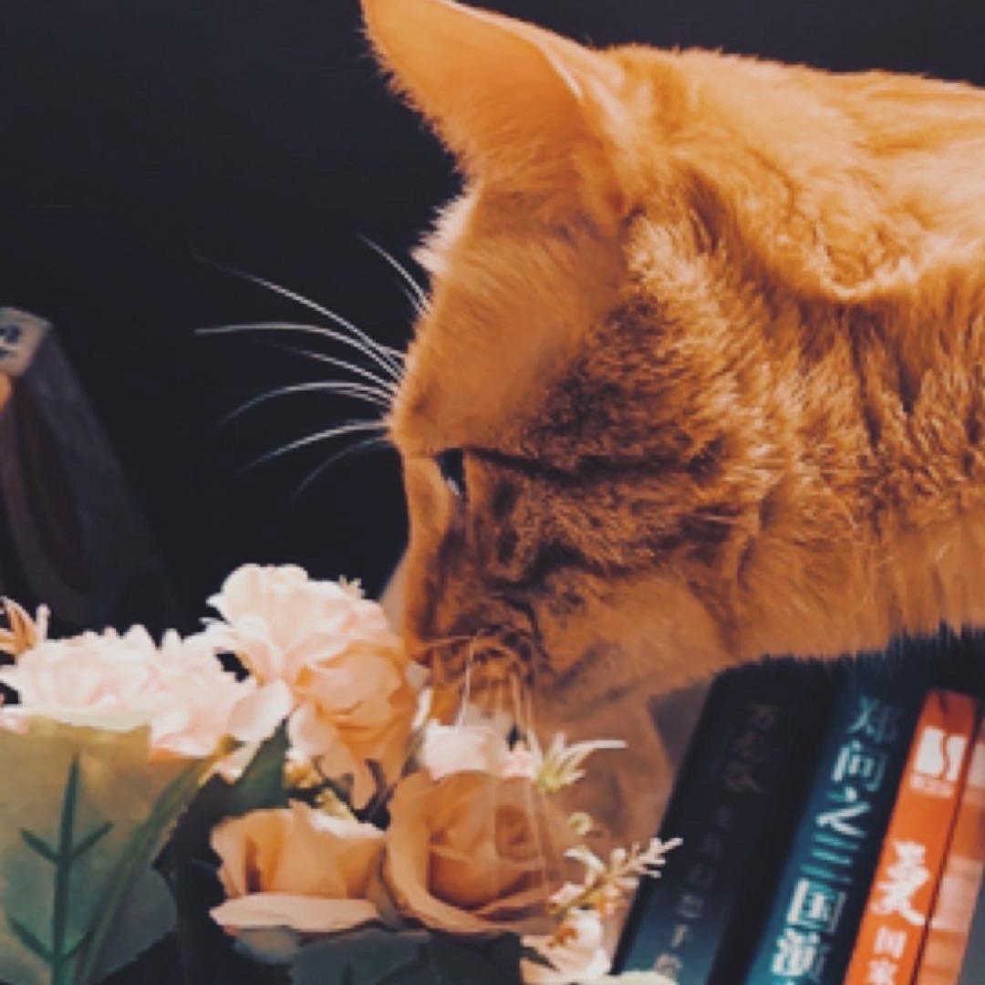 傲来小猴