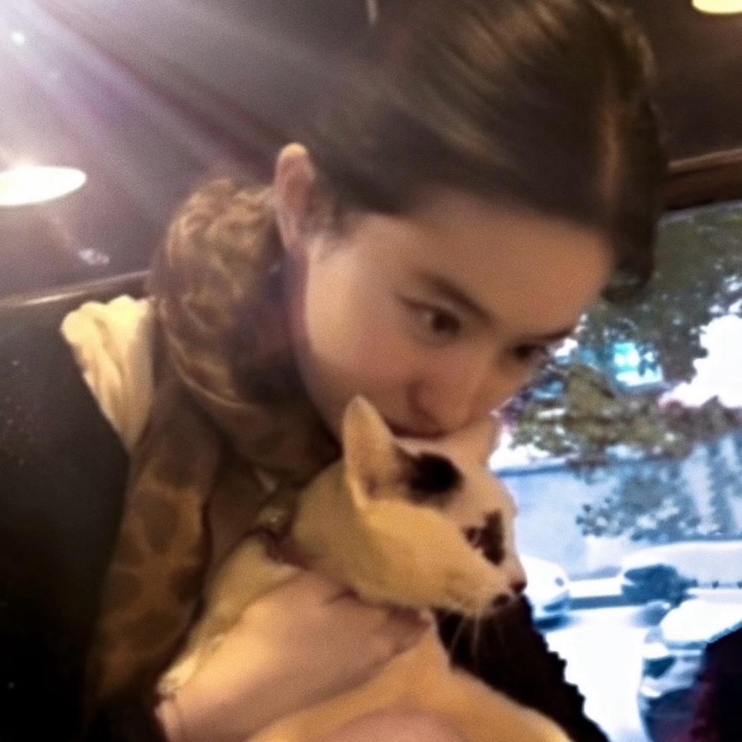 猫猫大人