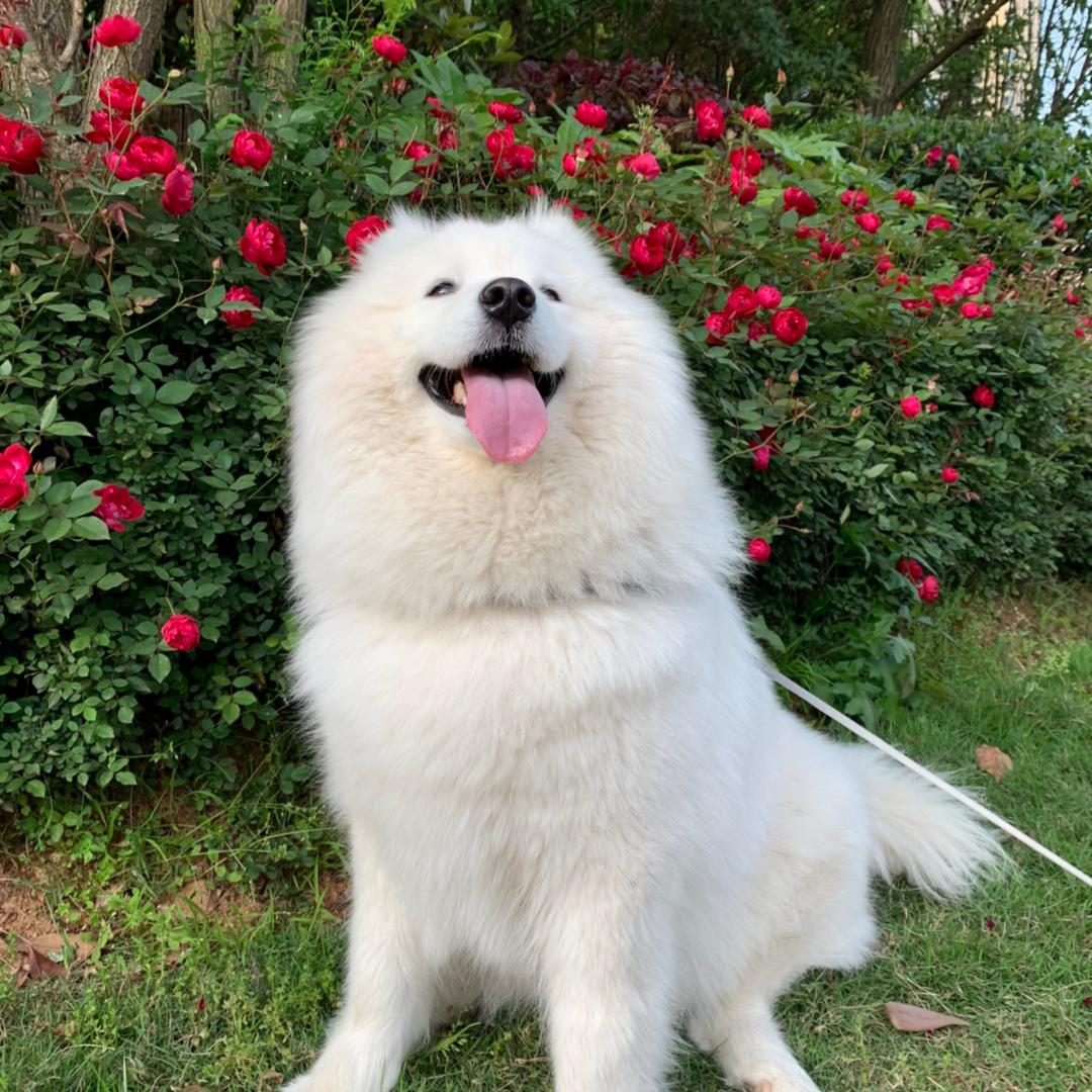 仔仔妞妞的额娘❤️