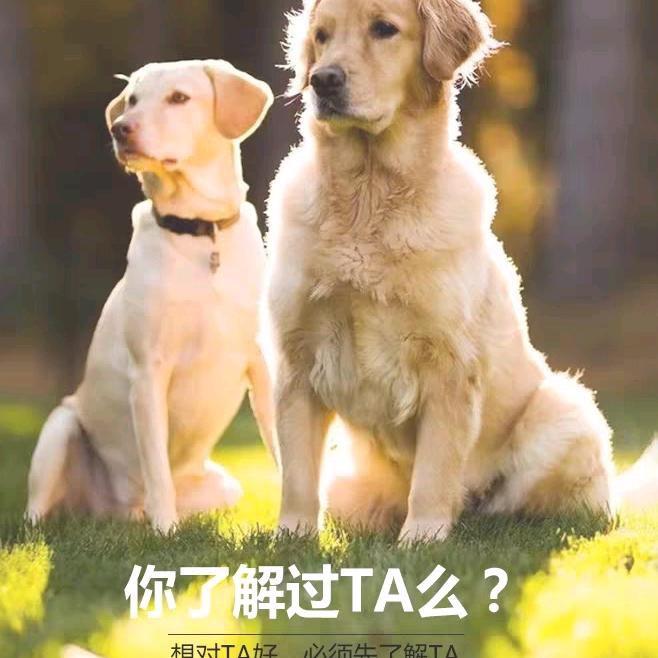 喵汪动物医院