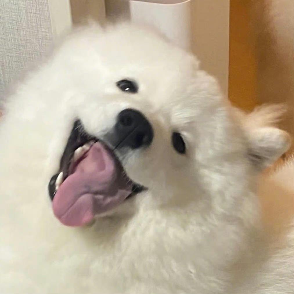 浇给