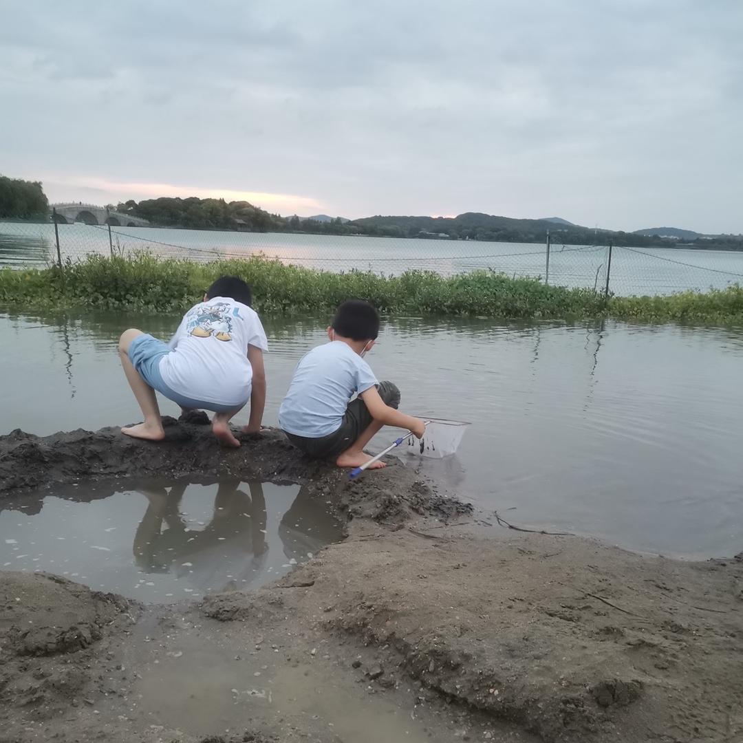 丁鑫