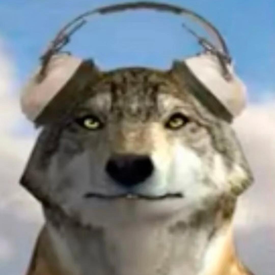 孤独的野狼🐺