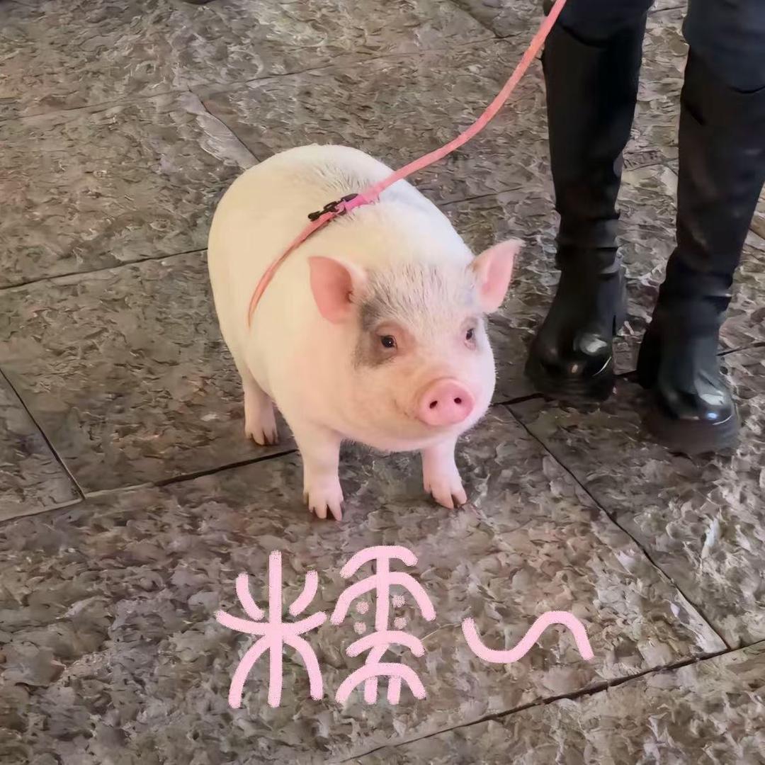 卡哇伊