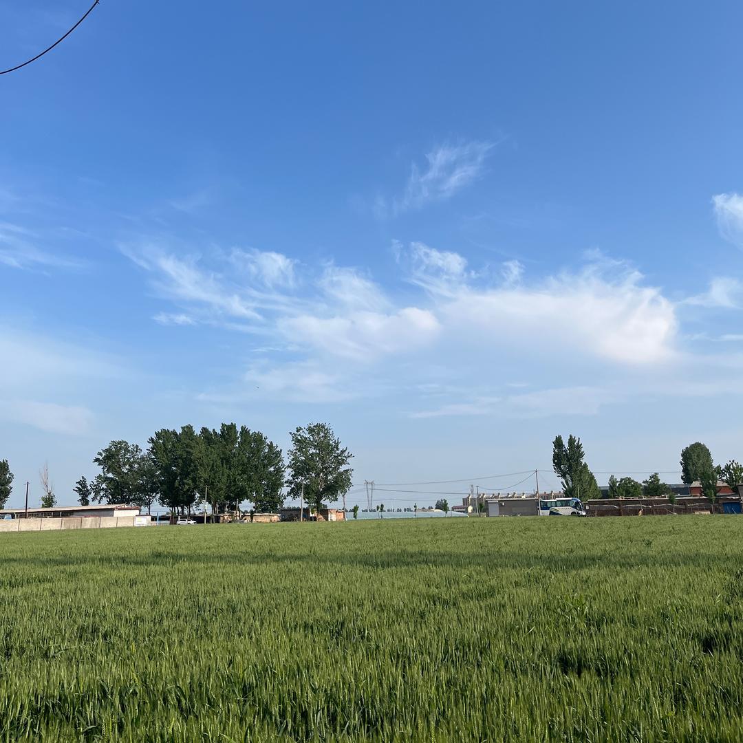 🫧云朵漫游⛅️