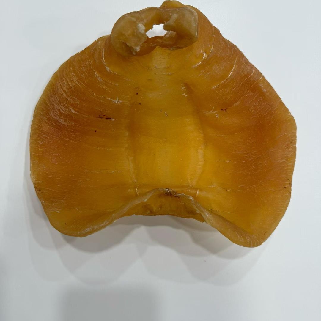 蒋百万鱼胶滋补行