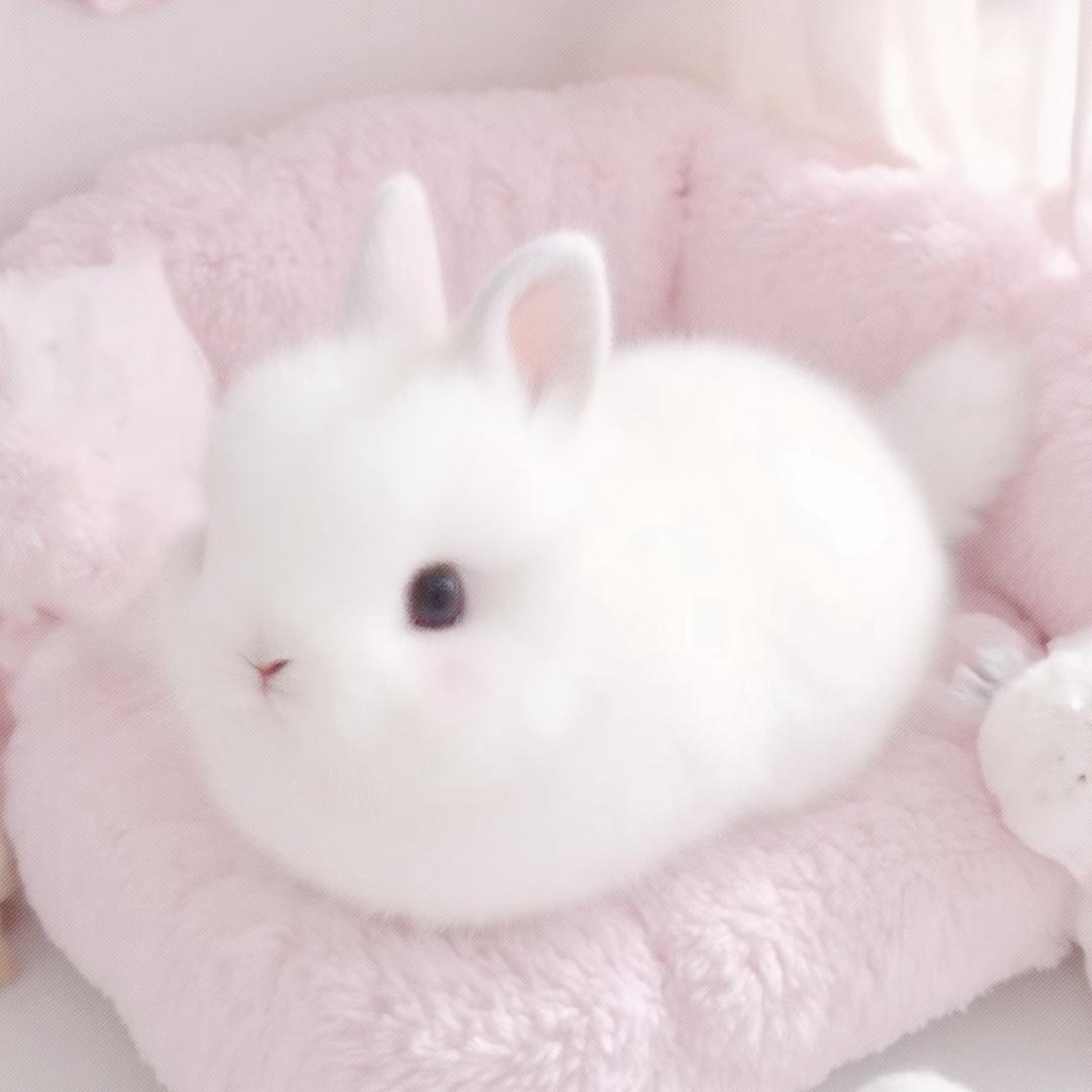ななし