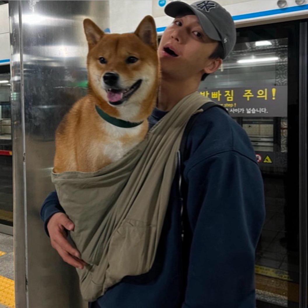 往我粉里加蛋