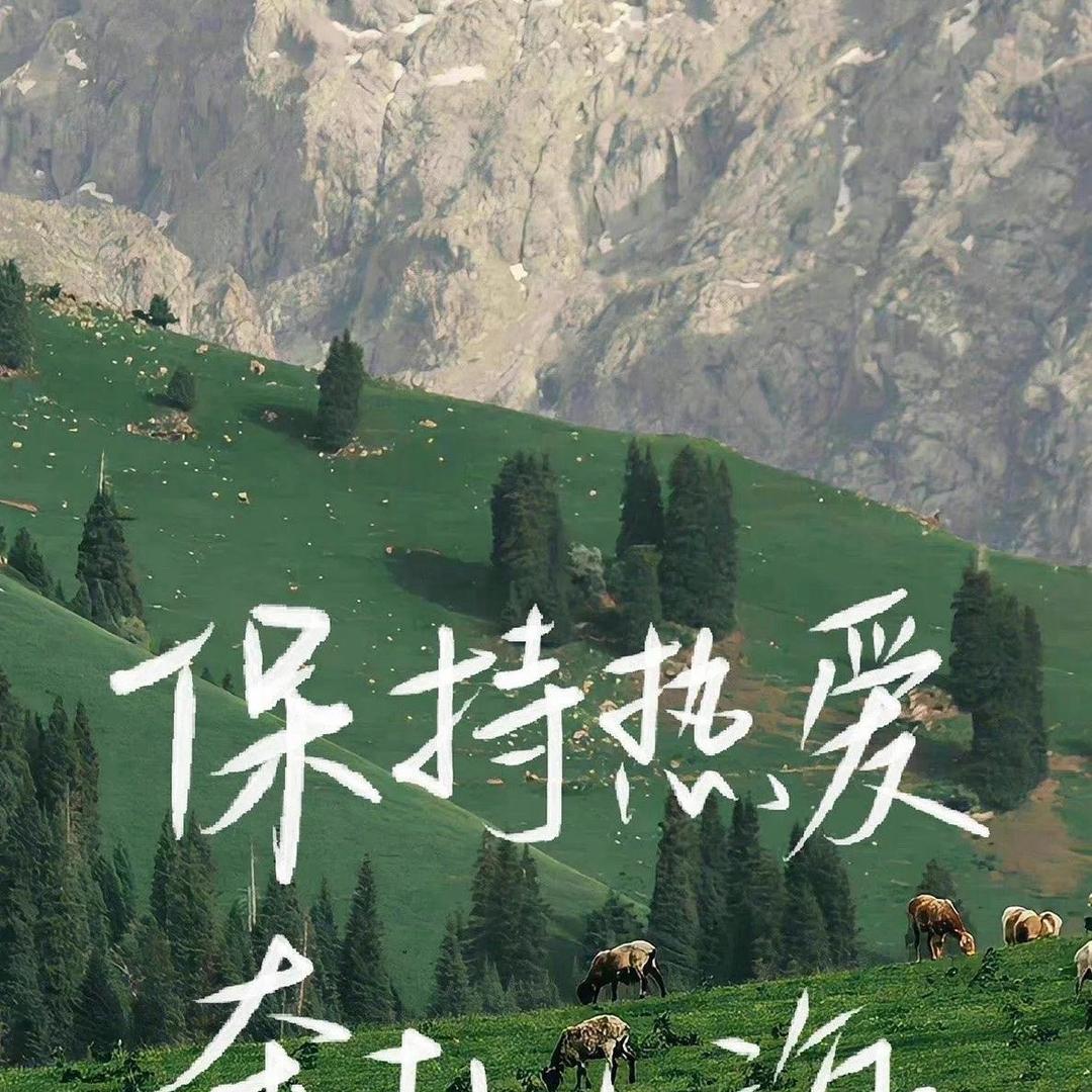 蝴蝶飞飞