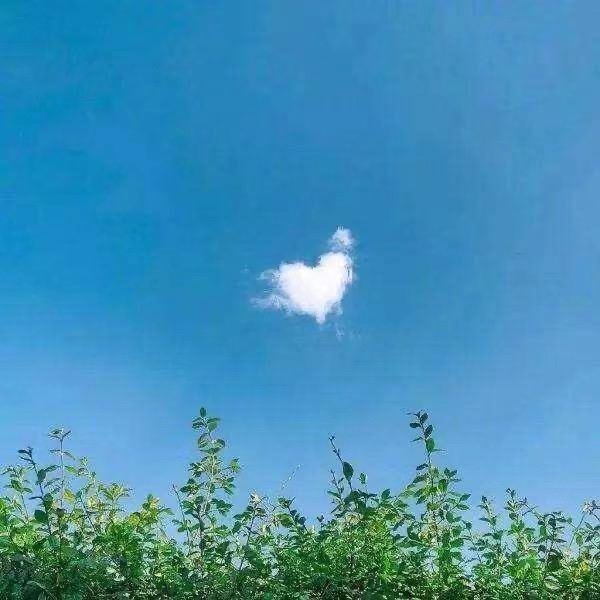 @亮剑
