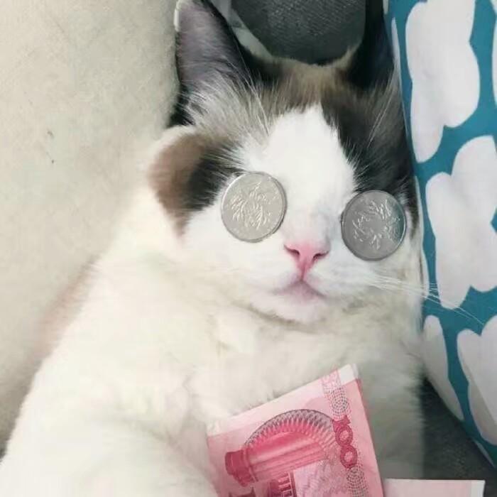 玩嘚法