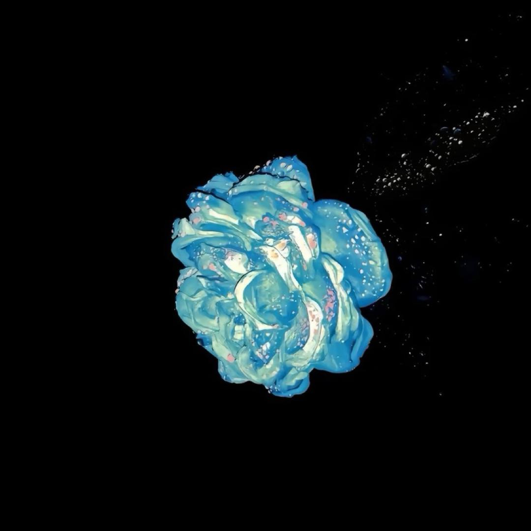 yy