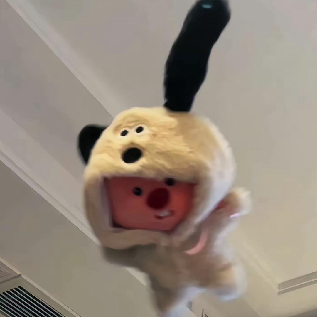 暴躁的小薯条
