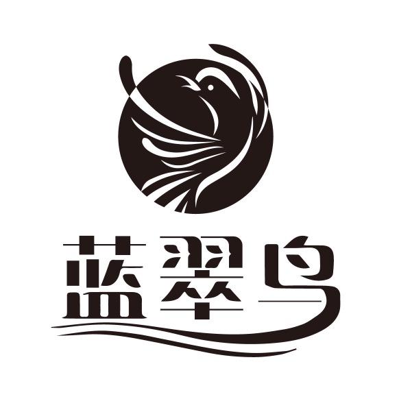 蓝翠鸟服饰专卖店