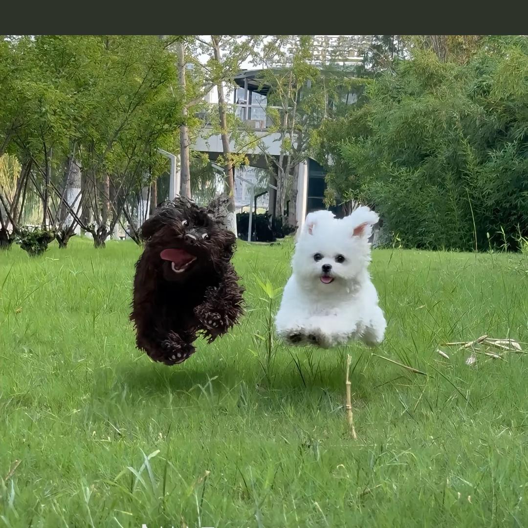 玥💫