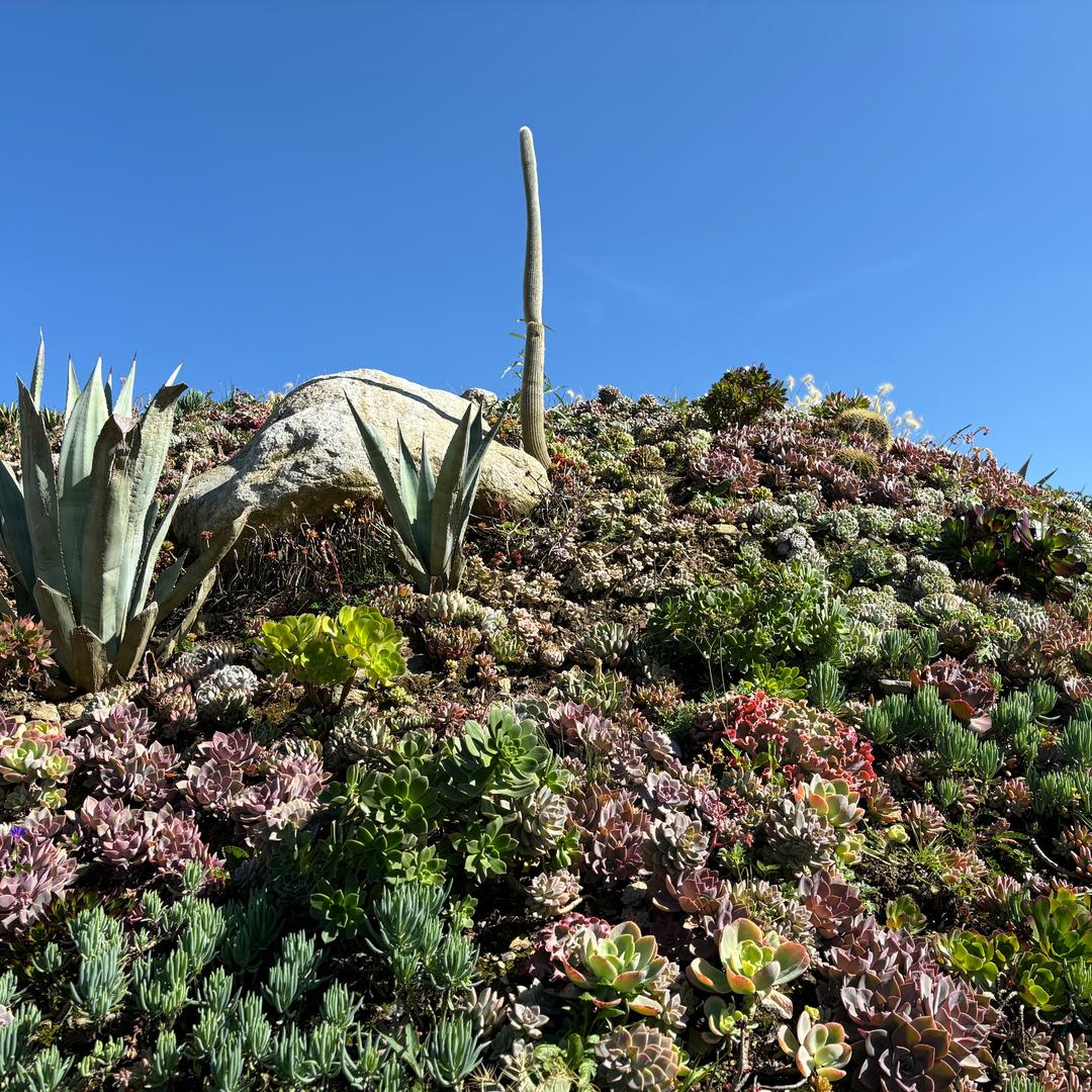 悦悦麻麻爱读书📚