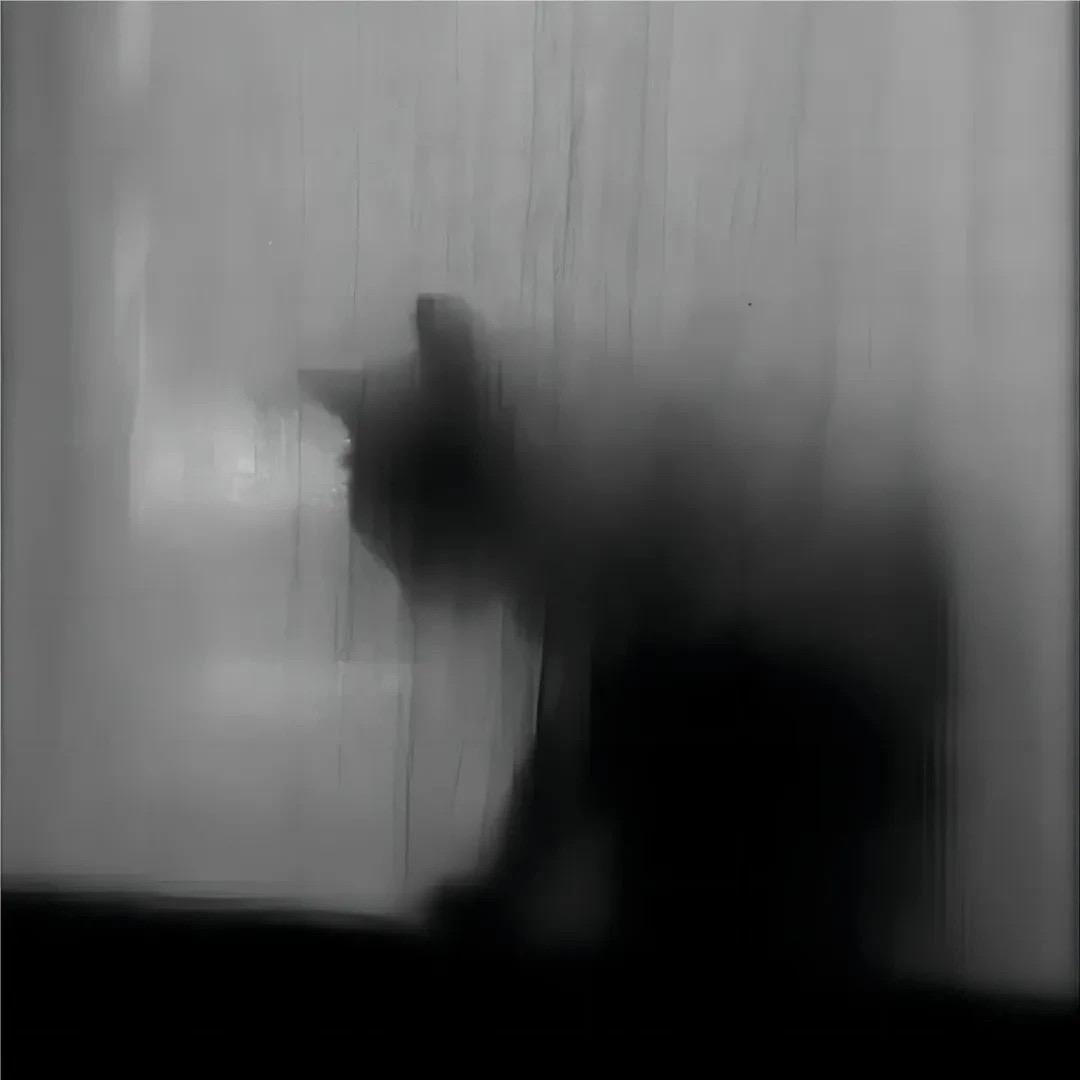 ⁺✞ʚ抹利奈渔重度依赖ɞ✟₊