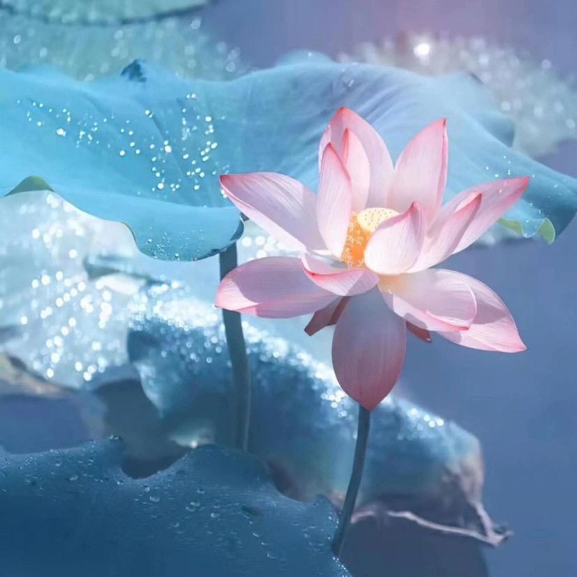 梦.-