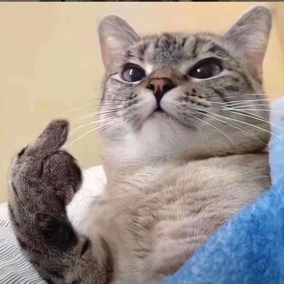 圈住一块小饼干