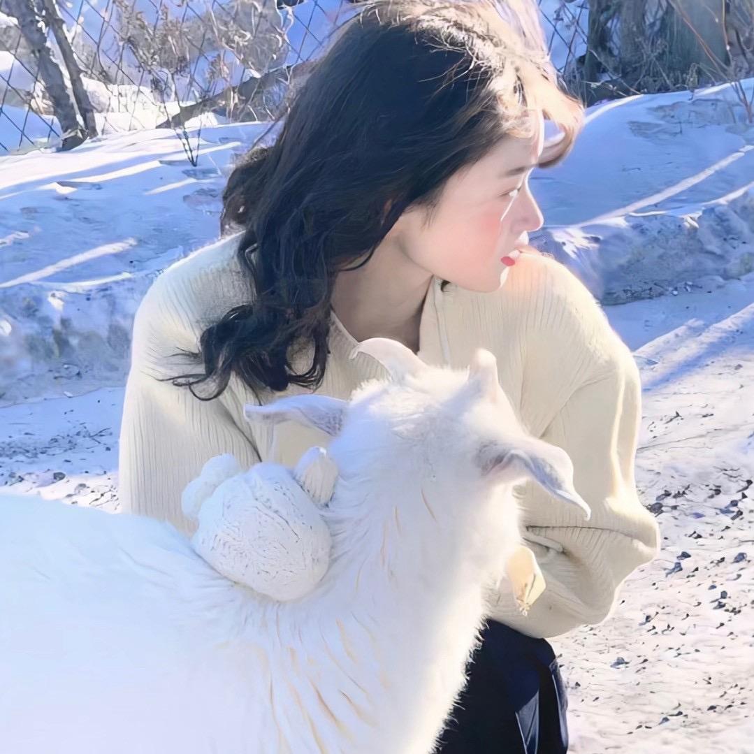 🌈❄️