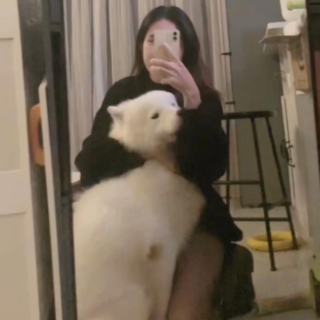 龙离谱
