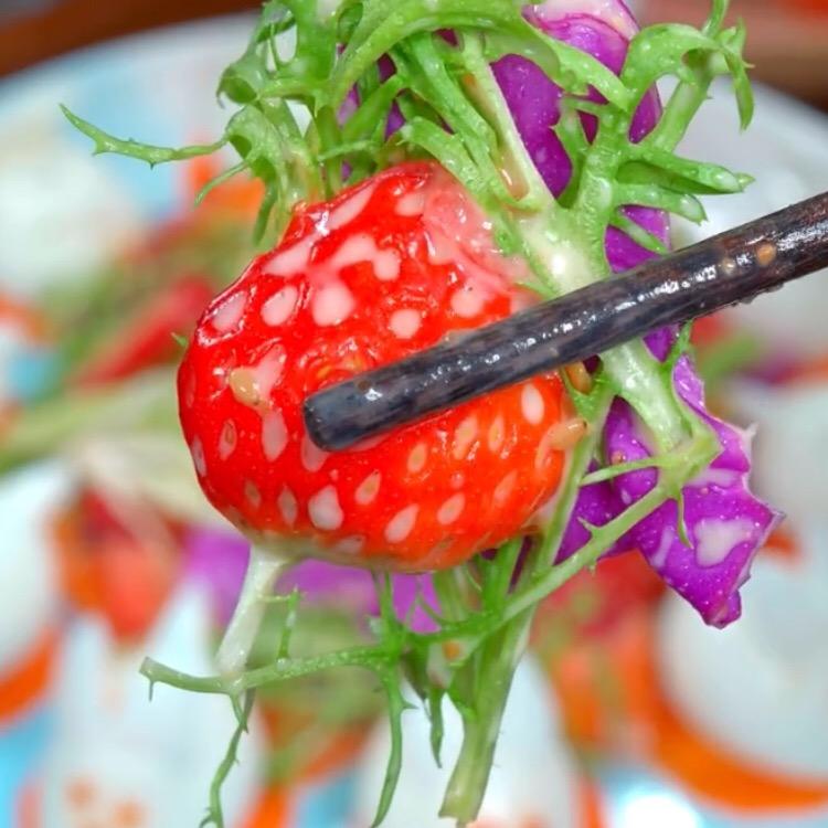 大梅爱美食