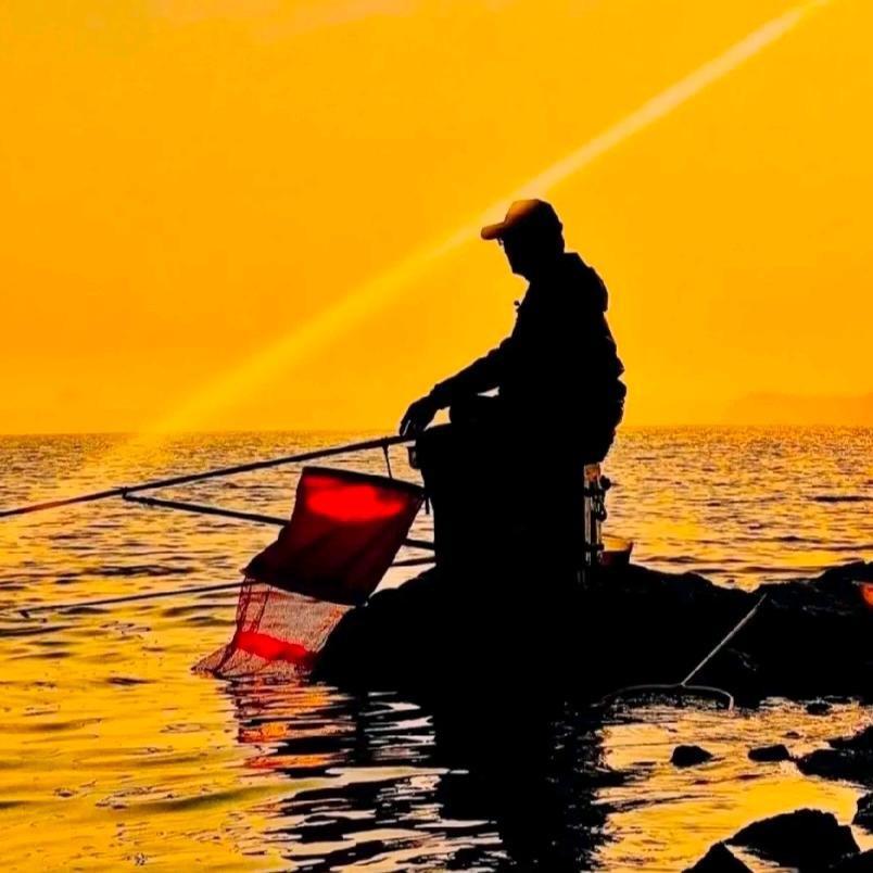 聆听心跳的旋律