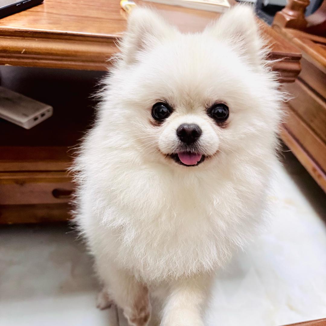 🌈余生万好🌈