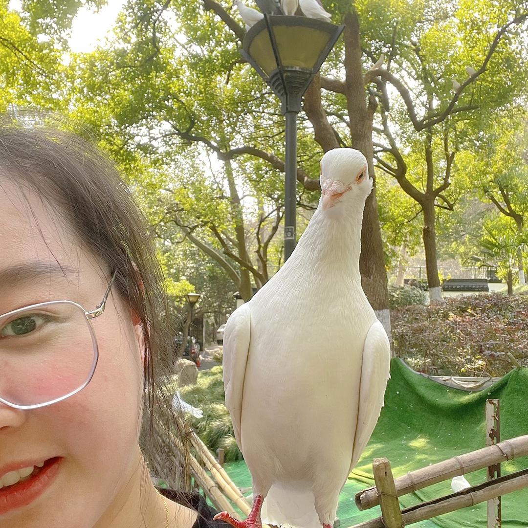 🍃叶叶ᐝ 🫧
