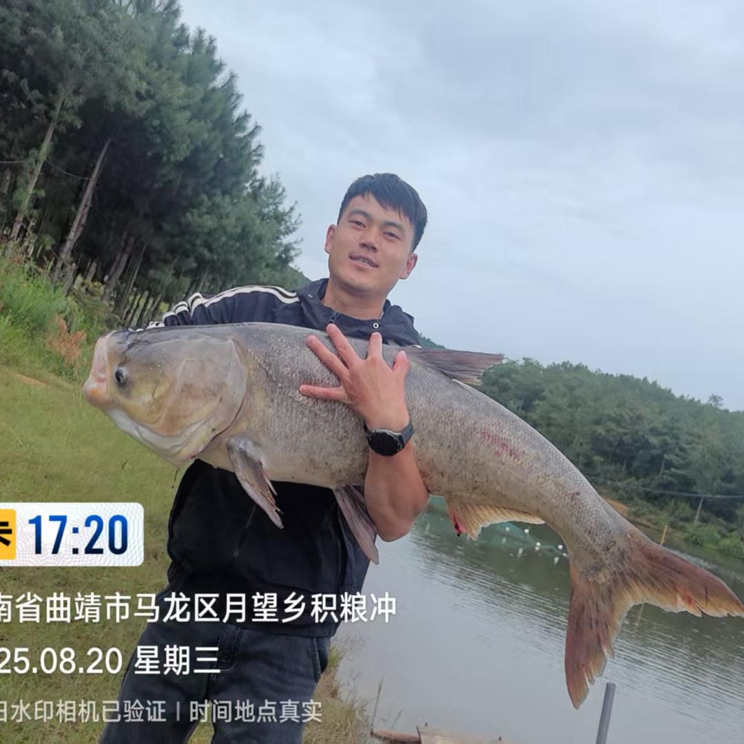 曲靖钓鱼圈