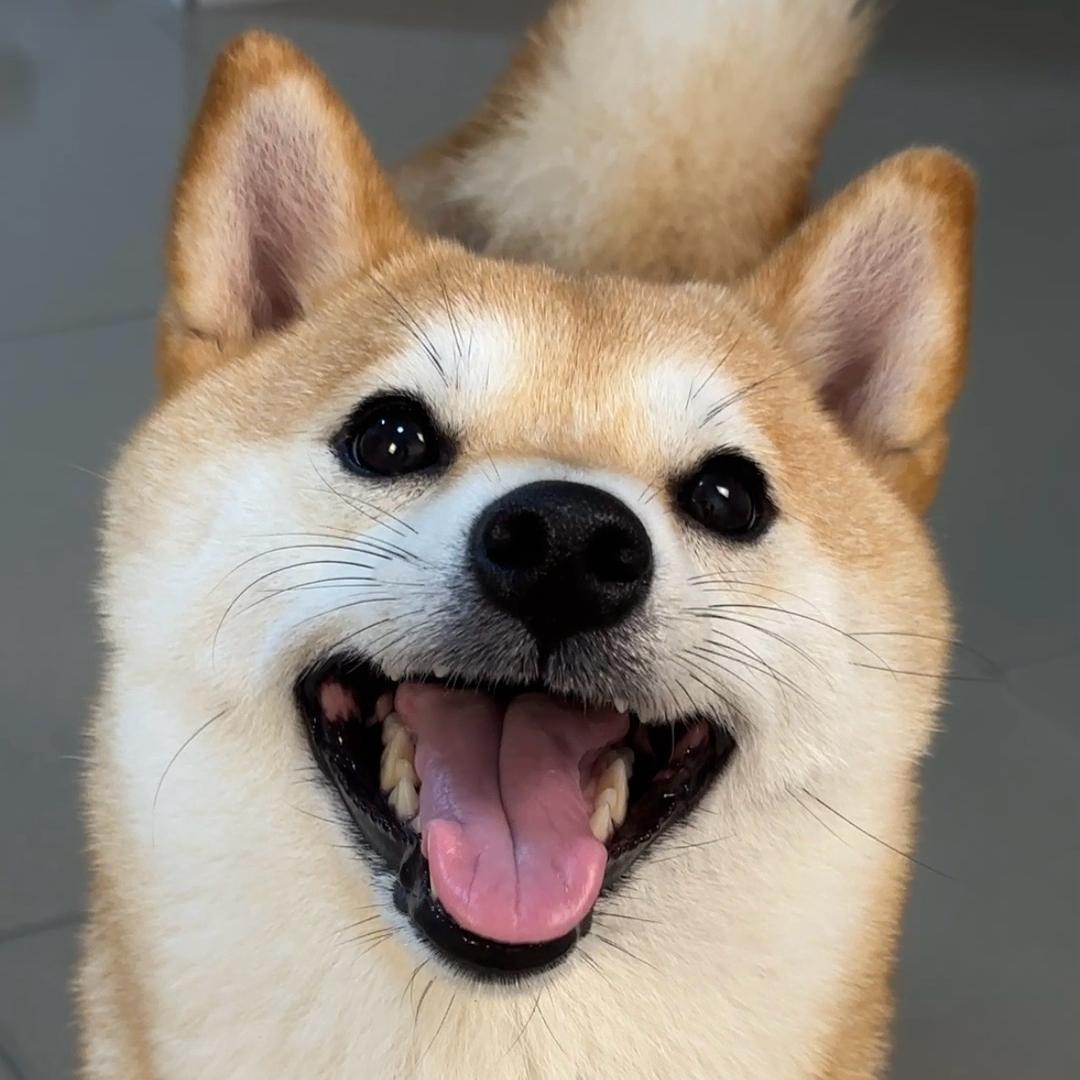 福贵是个宝🫶