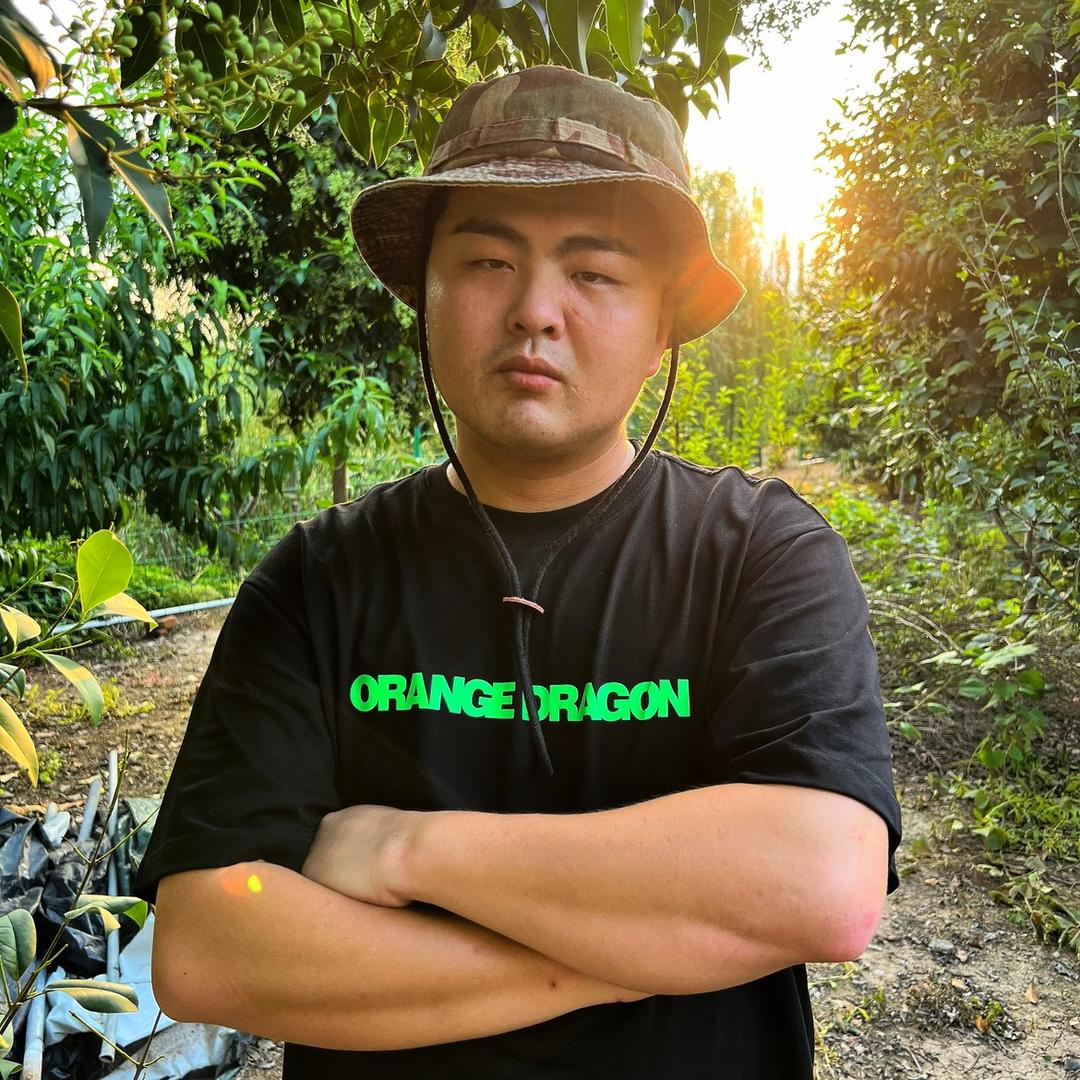 乡村迷狗