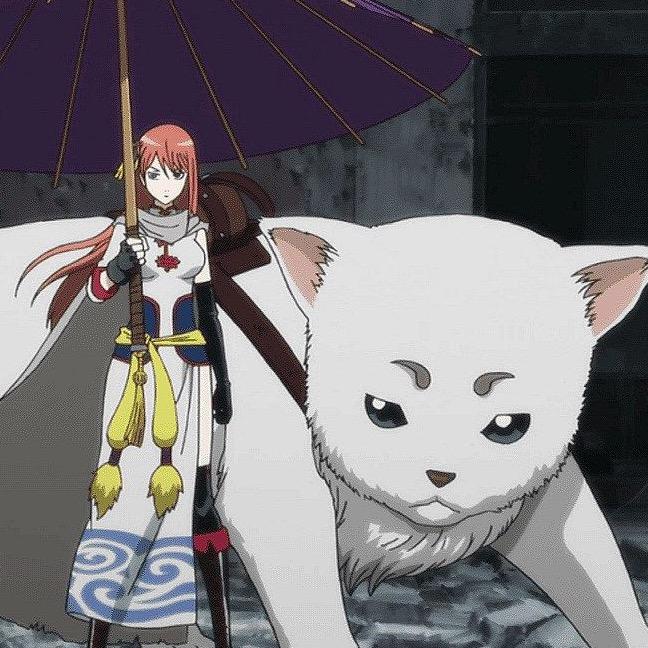 白椴