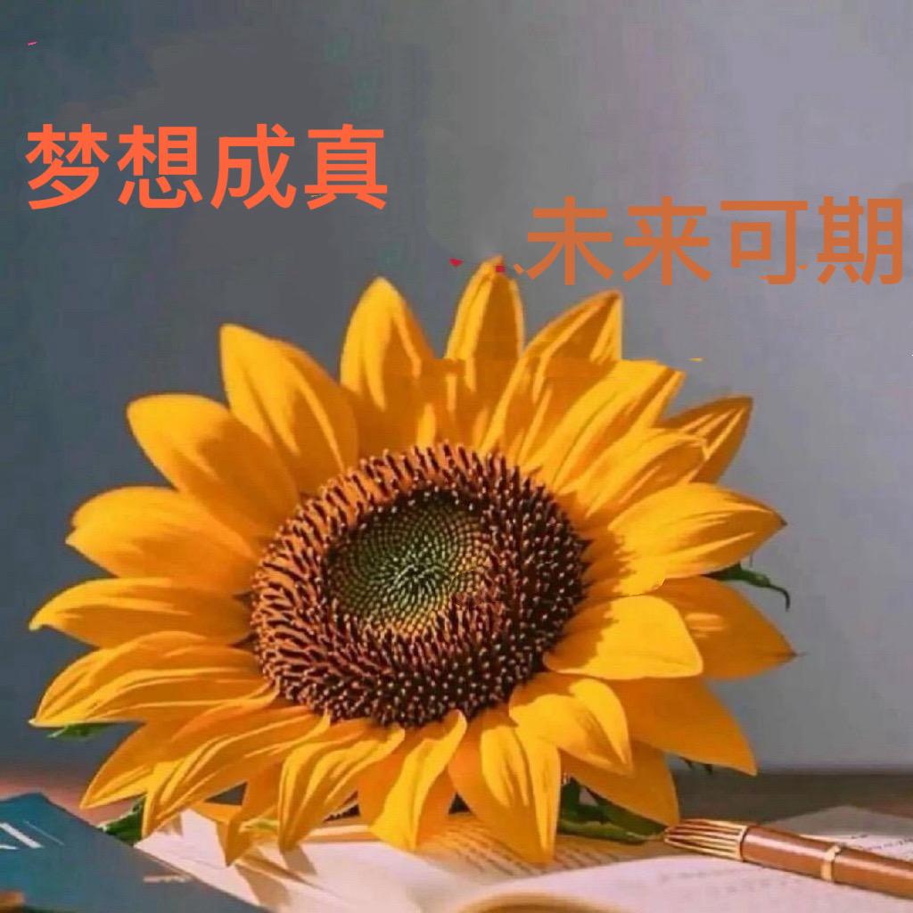 🌈🎊🎊梦想成真🎊🎊🌈