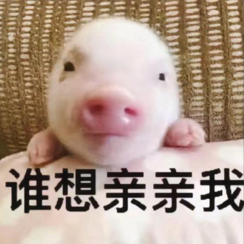 瘦了20斤就改名