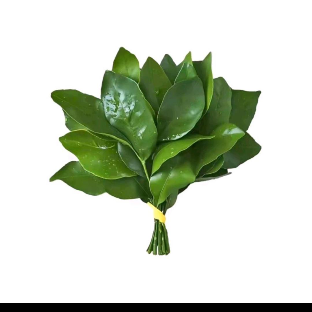 晚雾也有归处.