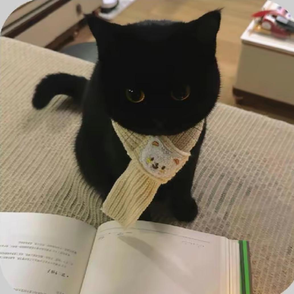 菲菲是我的宝贝