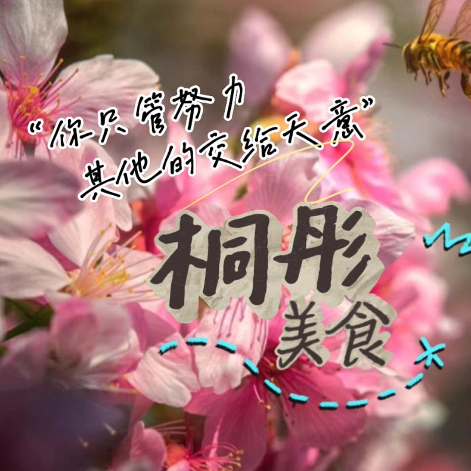 桐彤(三角洲行动)