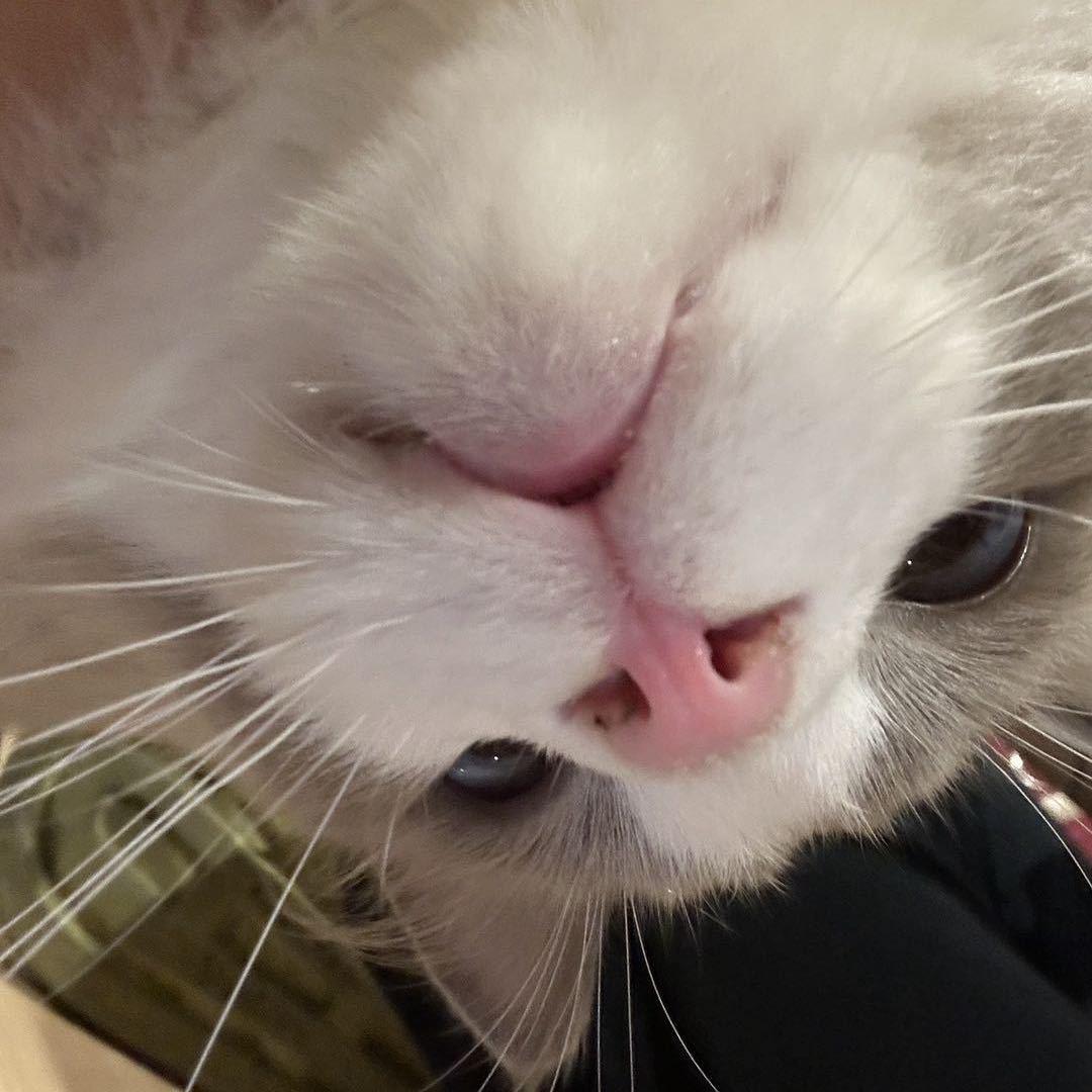 零