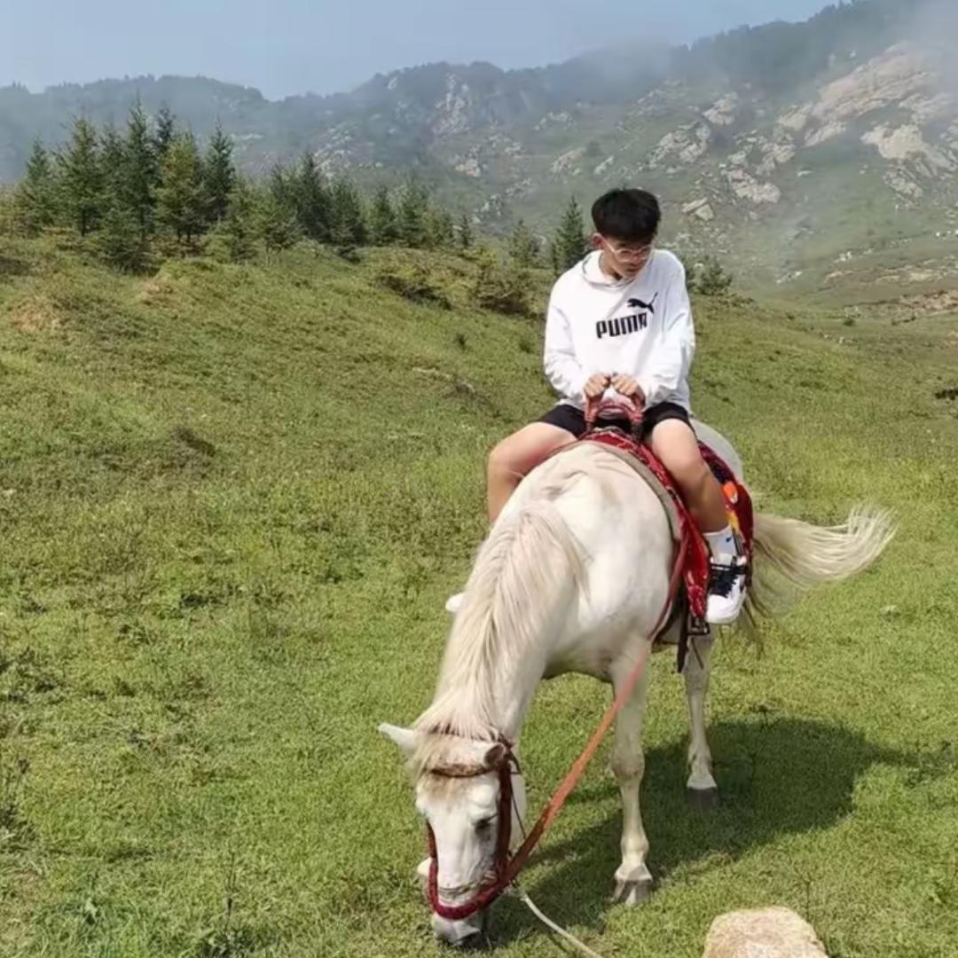 我不是王子龙