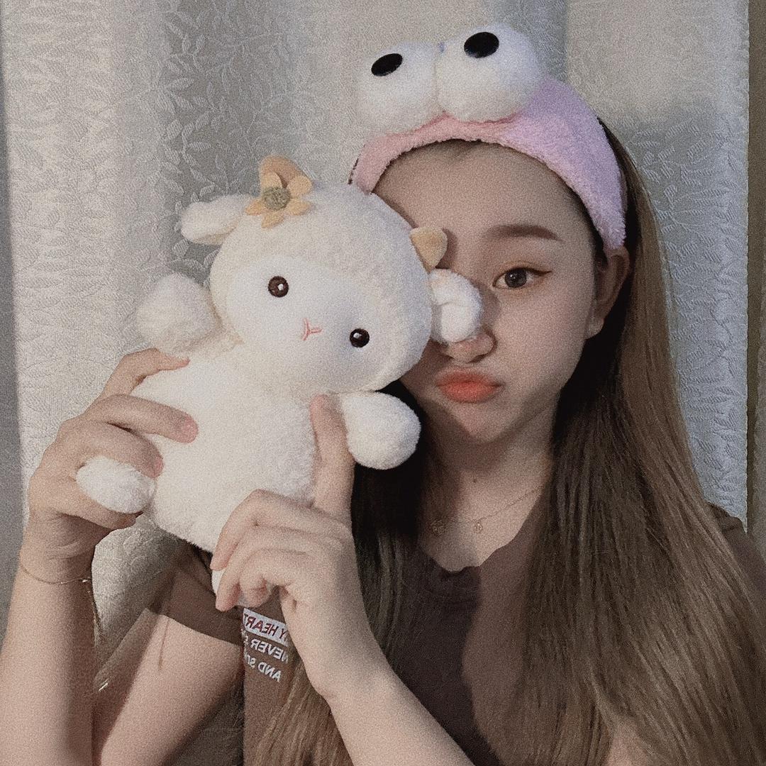 一只羊🐑