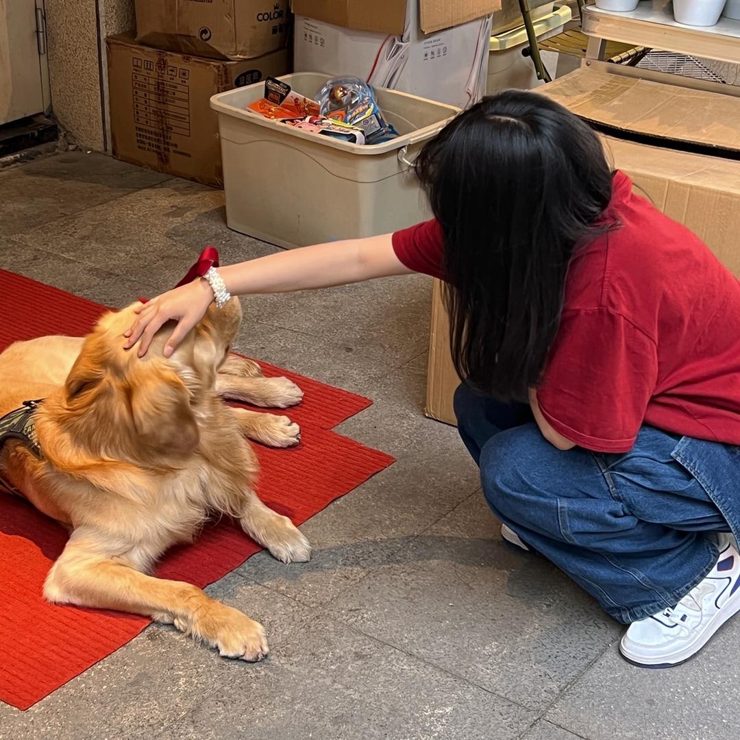 今天参加高考