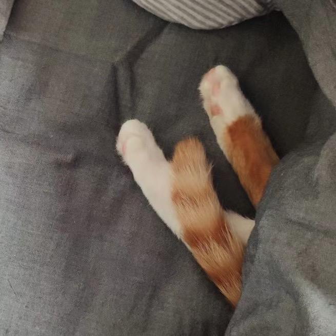 .小表妹