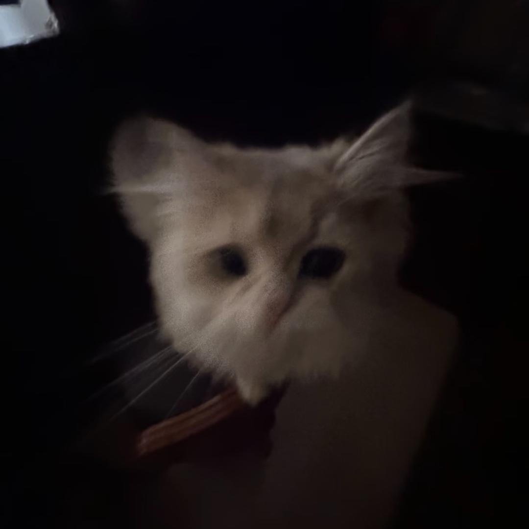 圆子-