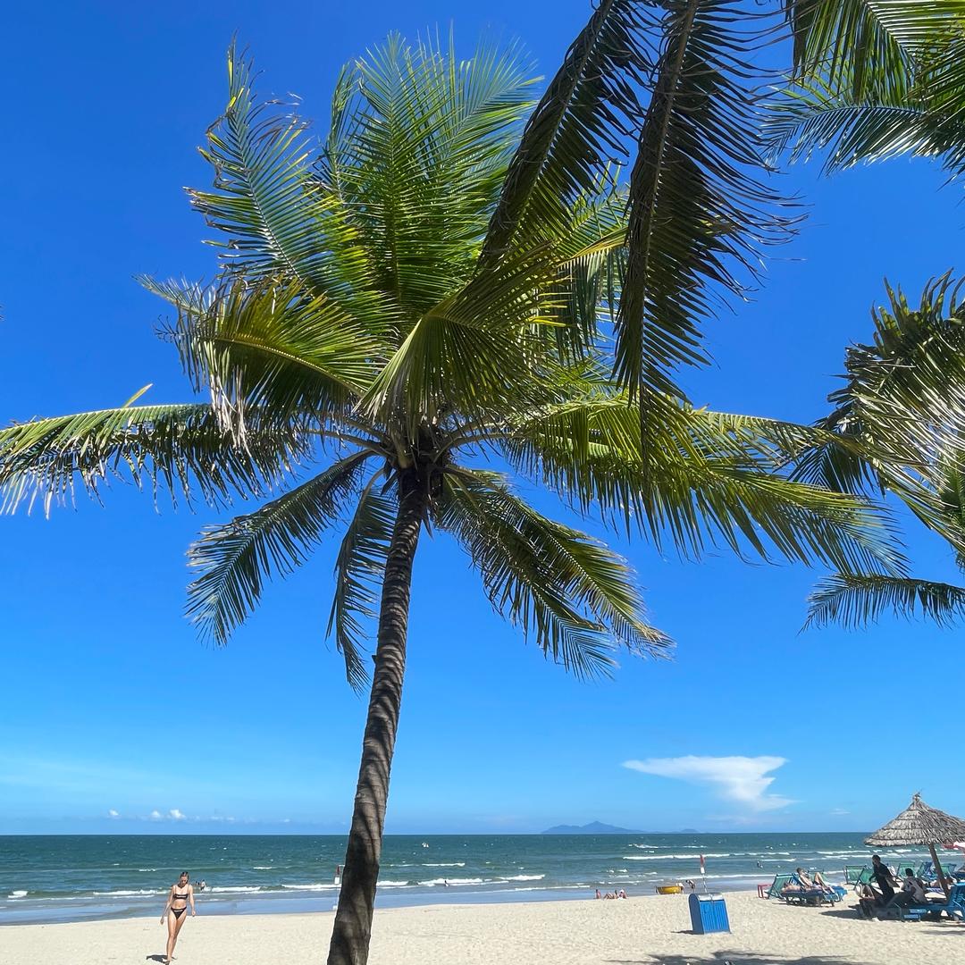 山东大汉在越南