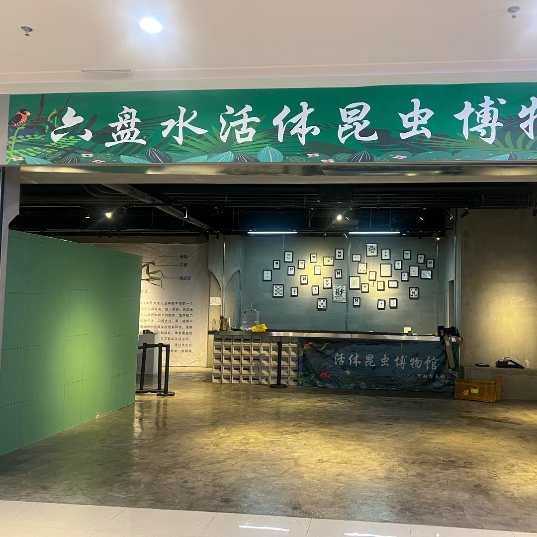 六盘水昆虫博物馆官方号